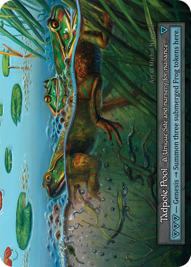Tadpole Pool